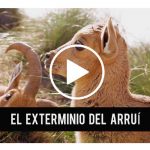 Exterminio-Artemisan