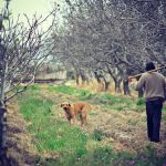 hombre-de-campo
