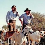 aer-animales-de-compañia