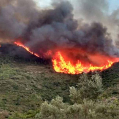 Los cazadores piden a la Junta de Extremadura medidas urgentes en las zonas afectadas por incendios