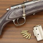 cartucho-.17-Hornady-prin