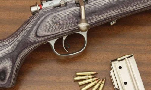 El cartucho de percusión anular .17 Hornady Magnum Rimfire