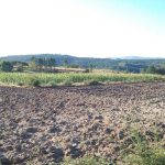 Caza-mayor-galicia