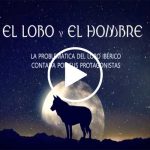 El-hombre-y-el-lobo