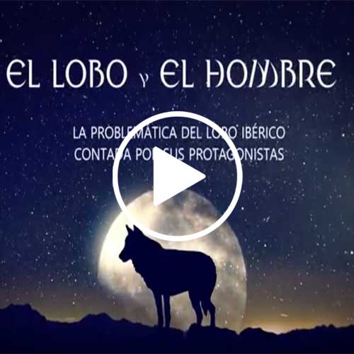 El-hombre-y-el-lobo