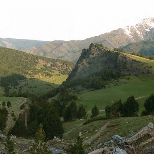 Reserva de Caza del Alt Pallars