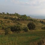 Serracanya-prin