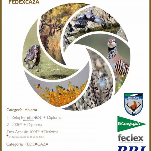 Cuarta edición del concurso Caza Fotográfica de FEDEXCAZA