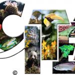 logo-cites