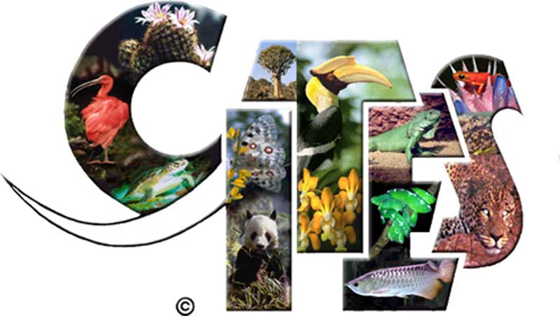 logo-cites
