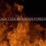 Artemisan-incendios-y-caza