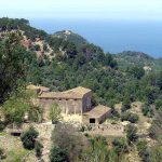 SonFortuny