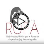 Proyecto-Rufa