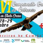 XVI-cto-galego-cetreria
