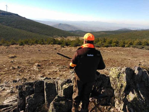 7-normas-de-seguridad-monterias-prin