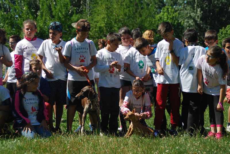 Proades-2016