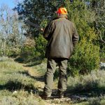 RFEc-biodiversidad