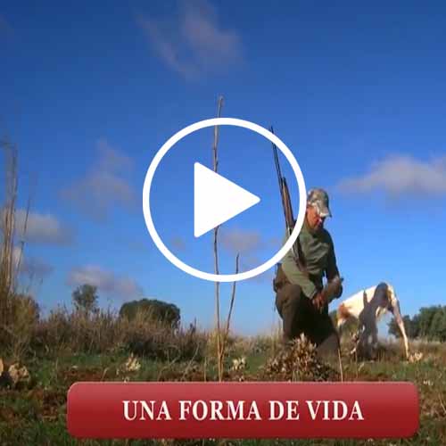 Revista-Trofeo-Caza-diciembre-17