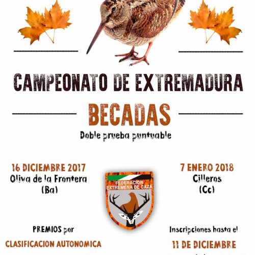 Campeonato de Becadas de Extremadura el 16 de diciembre y el 7 de enero