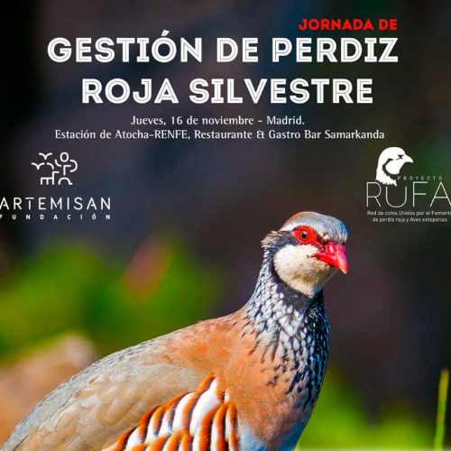 I jornada sobre Perdiz Roja Silvestre organizada por la Fundación Artemisan