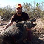 monteria-Herdade-do-Gonzalez-jabali