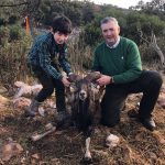 monteria-la-higuera-prin