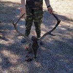 monteria-martin-gomez-