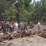 monteria-valdelaloba-prin