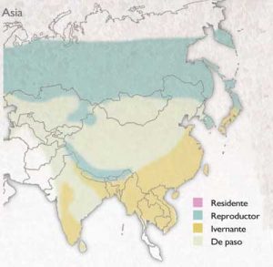 distribucion-becadas-asia