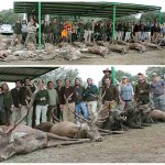 monteria-Las-Mohedas-prin