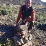 monteria-Sierra-Pinos