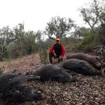 monteria-chaves