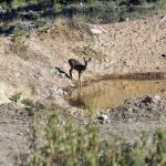 Gestion-tras-la-temporada-montera-prin