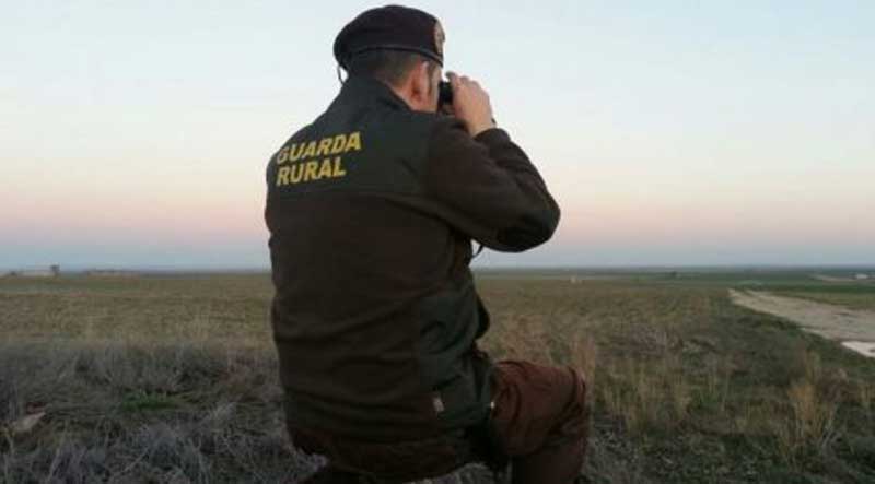 furtivo-condenado