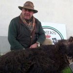 monteria-Las-Arcas