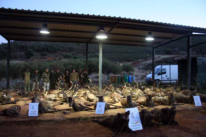 monteria-Piedrasanta