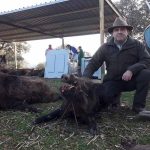 monteria-Terrias