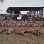 monteria-Valdegudiño