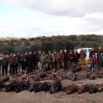 monteria-morron-del-cotarro