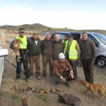 Campeonato interprovincial perros
