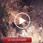 Spot-trofeo-caza-marzo-18