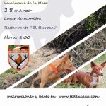 campeonato-extremadura-podenco