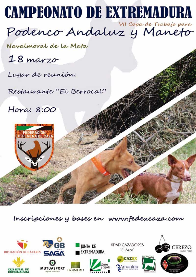 campeonato-extremadura-podenco