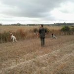 confundir-caza-y-deporte