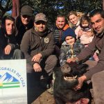 monteria-Bacinete-jabali