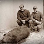 monteria-Coquino
