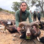 monteria-El-Pozo