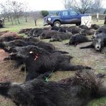 monteria-Valmorisco