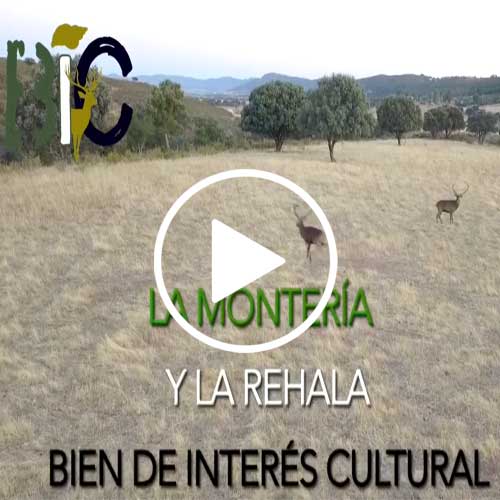 monteria-interes-cultural