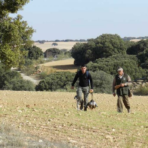 Coto Sotuélamos, historia de la caza de perdices en España